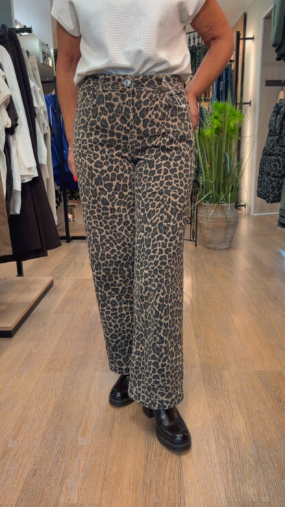jean leopard cecil